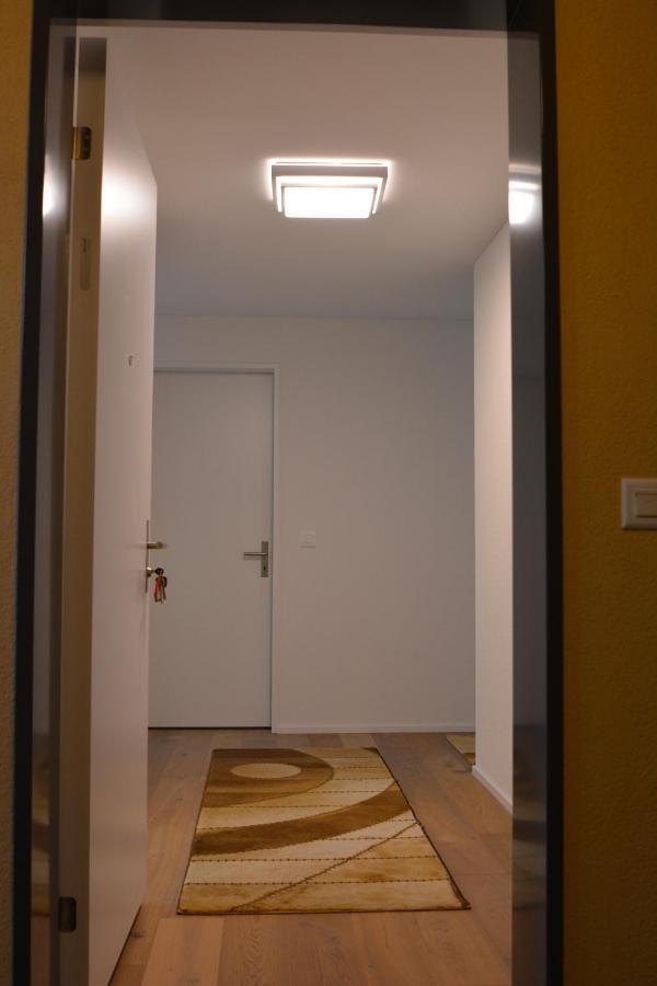 Great New Apartment Surrounded By Nature. Schattdorf Kültér fotó